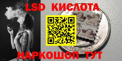 PSILOCYBIN Кунгур