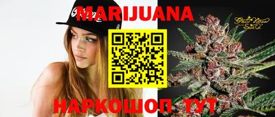 PSILOCYBIN Кунгур