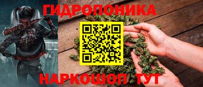 PSILOCYBIN Кунгур