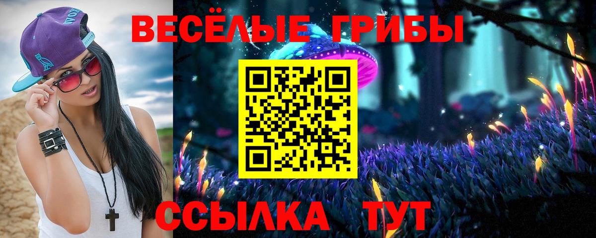Галлюциногенные грибы Cubensis  Вход с VPN  Чернушка 